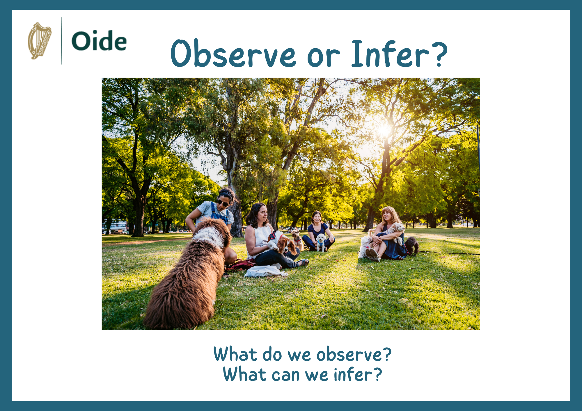 Observe or Infer 2
