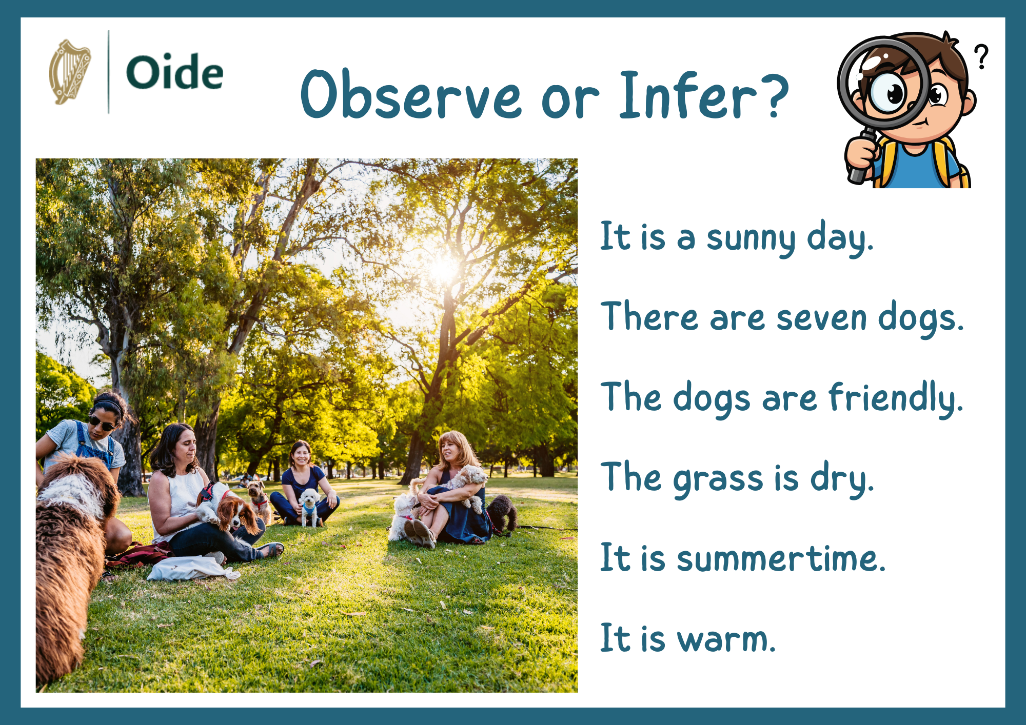 Observe or Infer