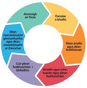 FMS Se Ceim Gaeilge
