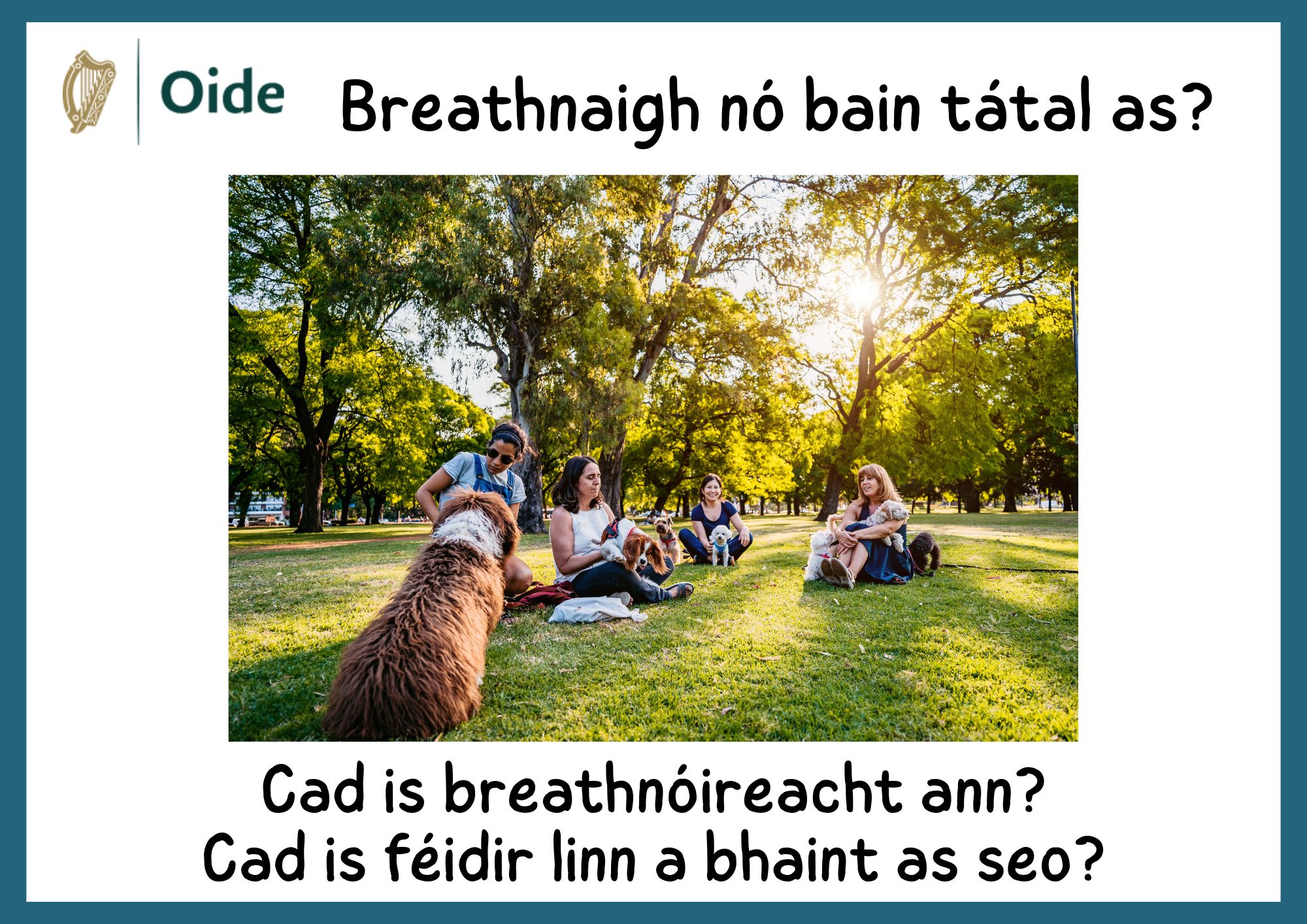 Breathnóireacht